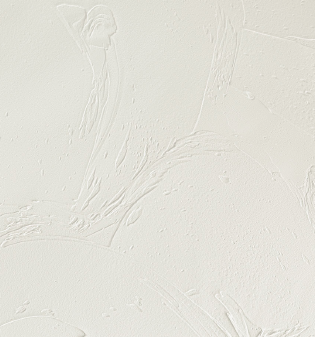 塗り壁材ダイアトーマスの例：うねり